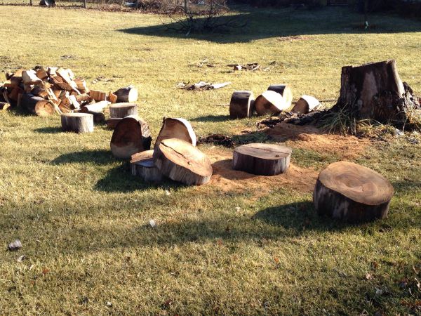 stumps