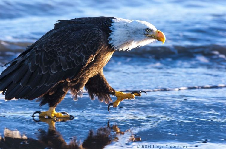 fd72e4d769d1e67f2114370d7a5f5767