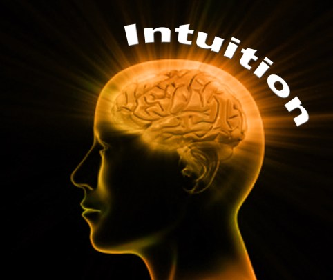 Intuition